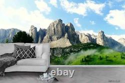 3D Mountain Range Cliff Self-adhesive Removeable Wallpaper Wall Mural 886