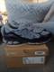 Asics Gel-nyc Gravel Black Size 11 Great Condition. With Box