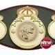 New To Range Championship Belt Prolion Customized