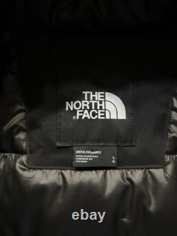 The North Face Mtn Range Hooded Down Waterproof Parka, Men Size Large Nwt