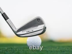 Set de fers Taylormade P790 nouveau modèle 2025 avec shafts personnalisés